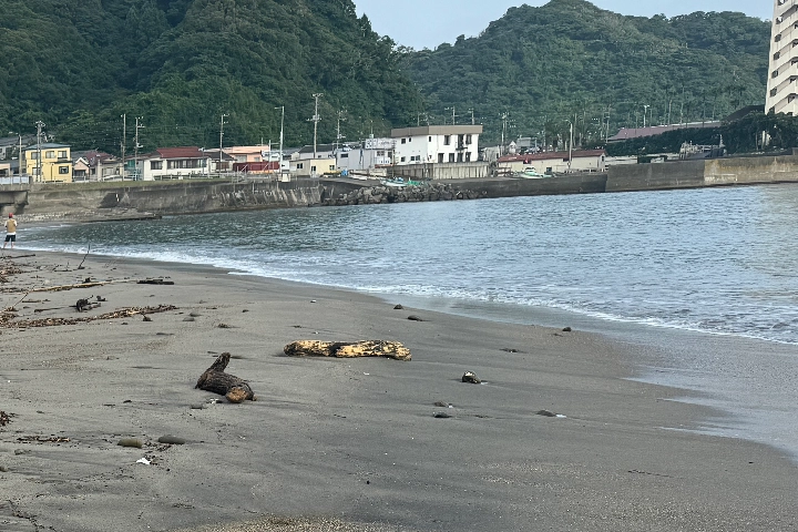 内浦海水浴場-海の写真