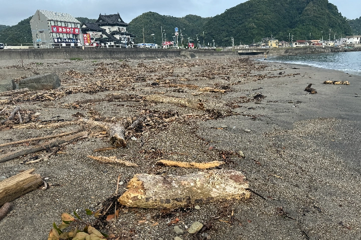 内浦海水浴場の砂浜には大量の漂流物