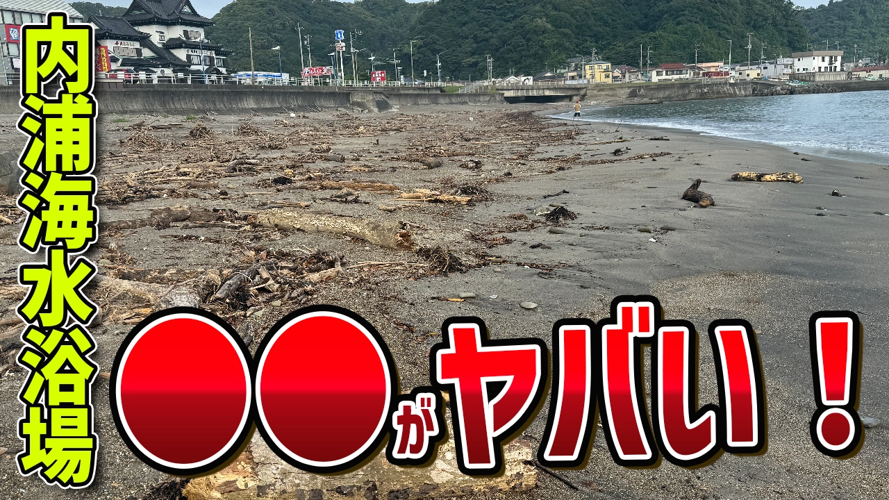 千葉県鴨川市にある内浦海水浴場に行ったら○○がヤバかった…。