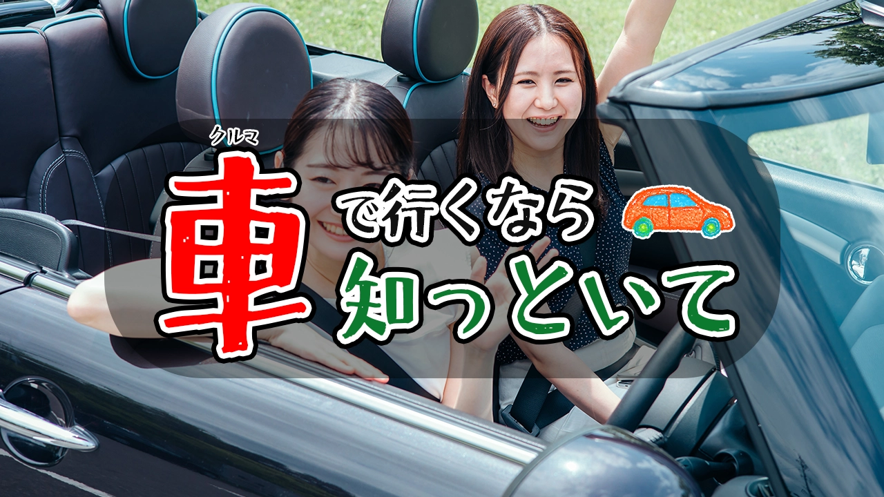 2025年最新版】吉祥寺ハロウィンパレード駐車場割引を最大限活用する方法 - トンさんの車中泊日記