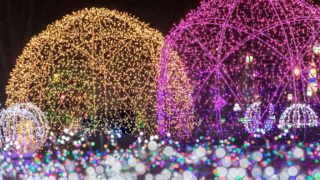 イルミネーションのイメージ