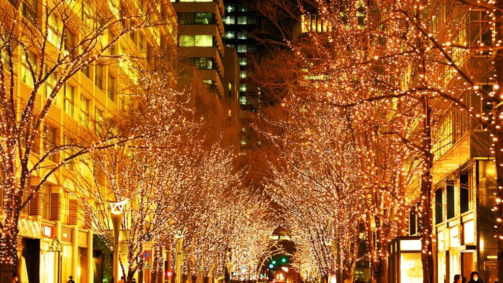 イルミネーションのイメージ