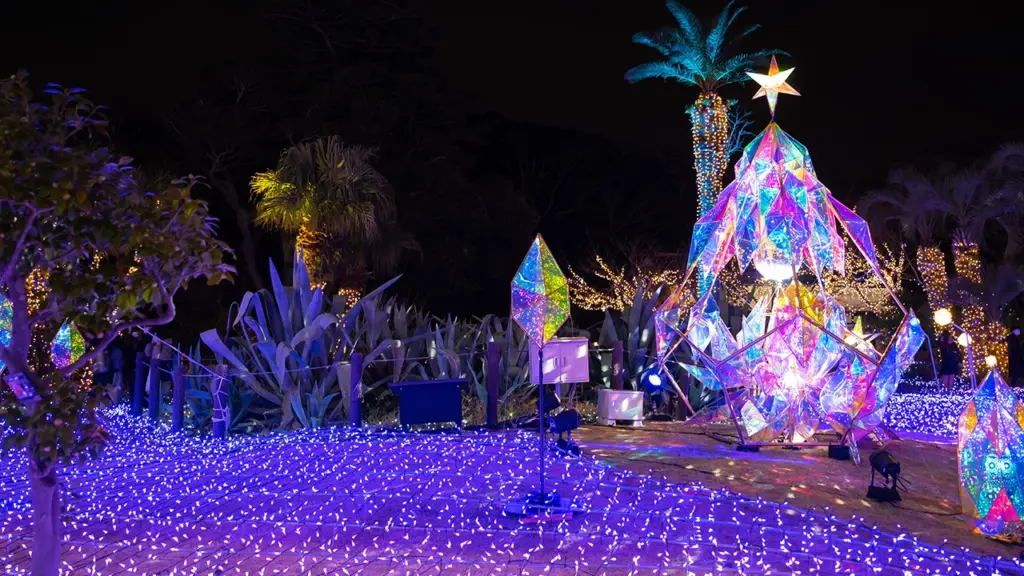 イルミネーションのイメージ