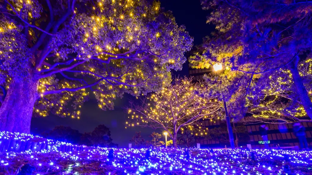 イルミネーションのイメージ