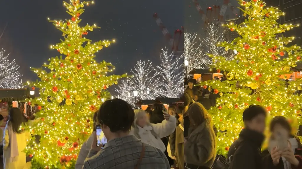 東京駅行幸通りの風景3（20251224）
