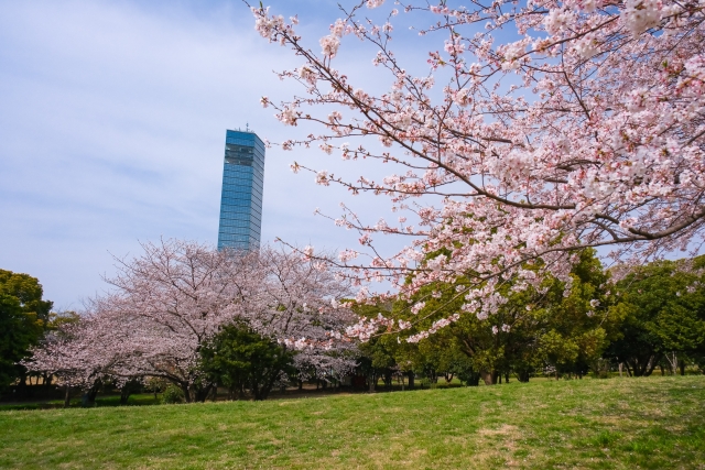 千葉ポートタワー